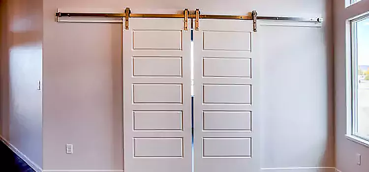 Glass Barn Door with Installation Hardware Kit Rutherford