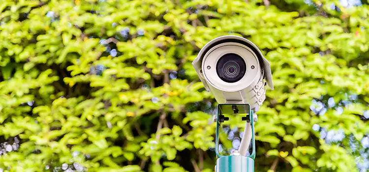 Advanced Surveillance Solutions for Every Need in Rutherford